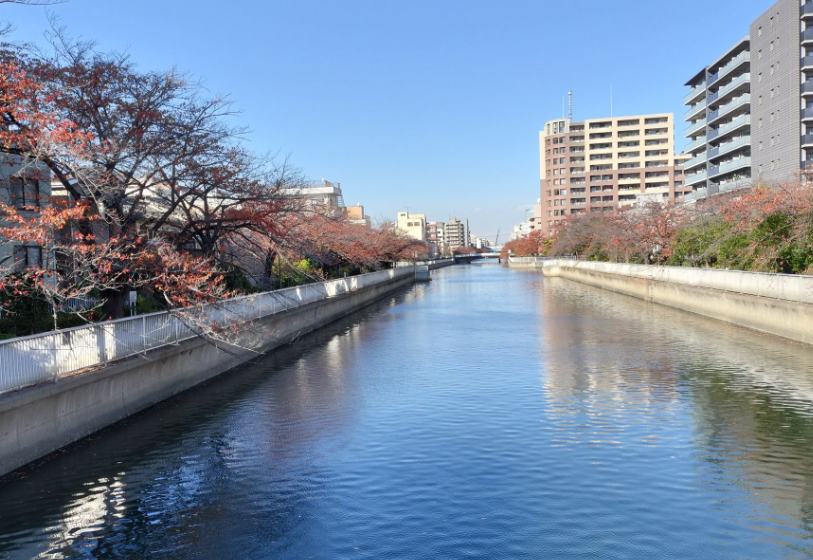 荒川区