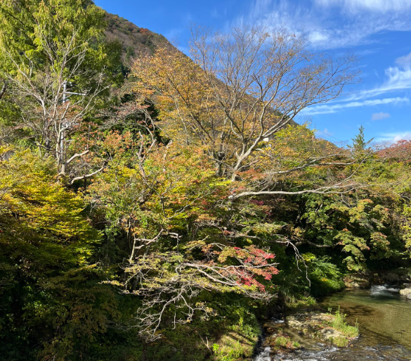 郡山